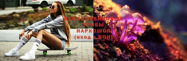 тгк Абдулино