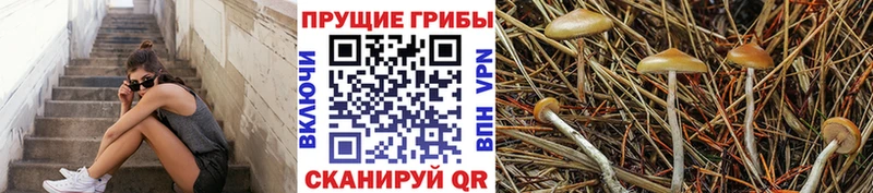 Псилоцибиновые грибы мицелий  blacksprut сайт  дарк нет состав  Яранск 
